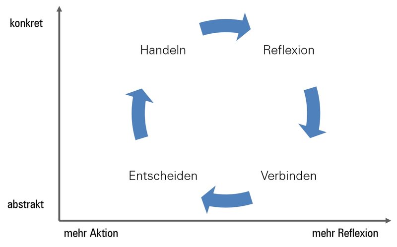 Rad des Lernens - eigene Darstellung nach "Das Fieldbook zur Fünften Disziplin"